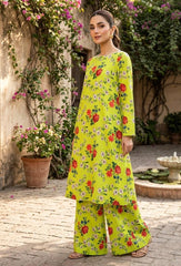 2 Pcs Ladies Suit Des 111