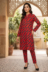 2 Pcs Ladies Suit Des 114