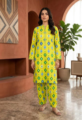 2 Pcs Ladies Suit Des 134