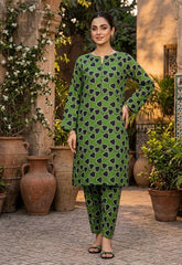 2 Pcs Ladies Suit Des 151