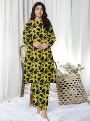 2 Pcs Ladies Suit Des 108