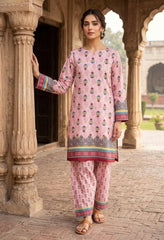 2 Pcs Ladies Suit  Des  112
