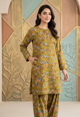 2 Pcs Ladies Suit  Des  170